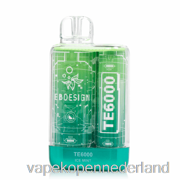 Elektronische Sigaret Vape Eb Te6000 Wegwerp Ijsmunt